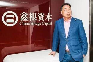 北京鑫澳大地明星,引领绿色农业新篇章