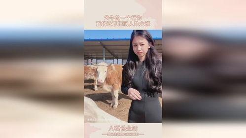 美女牧场在线播放完整版,浪漫邂逅，激情燃烧的青春岁月