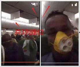 女人帮狗打手飞机视频,女子联手狗狗对抗恶势力，英勇事迹引网友热议