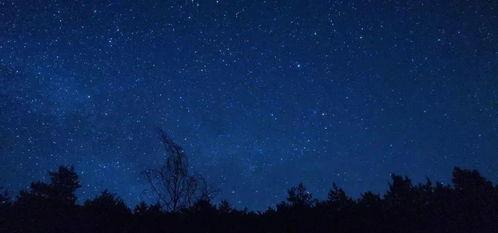 星空 av还是m,AV与M的奇幻冒险