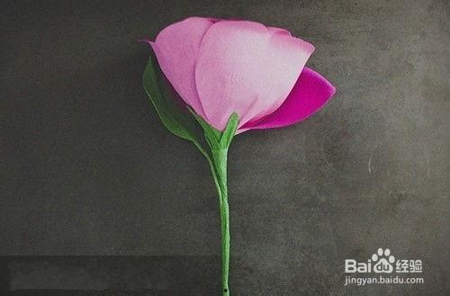 最简单的玫瑰花视频