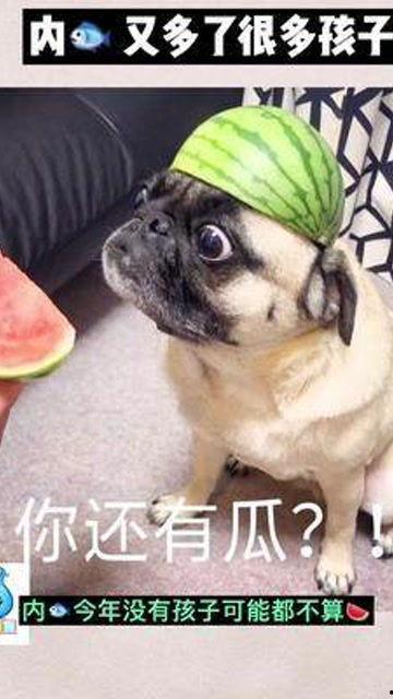 吃瓜宝宝娱乐,揭秘娱乐圈幕后故事，带你领略明星真实生活