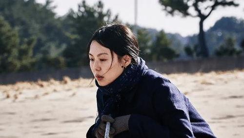 昔我晚矣我在娱乐圈吃瓜,昔我晚矣,吃瓜之旅