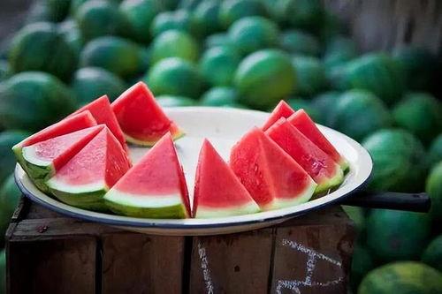 5.1吃瓜网官网,揭秘娱乐圈最新热点,带你畅游八卦海洋