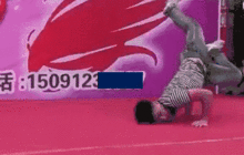 每日吃瓜娱乐播报