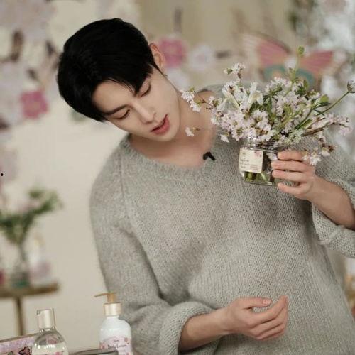 娱乐八卦吃瓜赵丽颖小说免费阅读