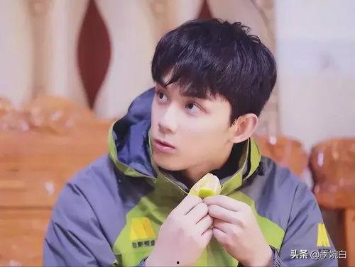 吃瓜娱乐圈吴磊百度云下载,独家百度云下载，揭秘明星幕后故事