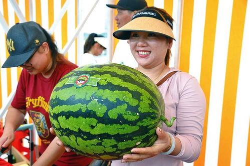 娱乐最新吃瓜,明星大事件揭秘！