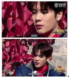 娱乐吃瓜君王嘉尔小说