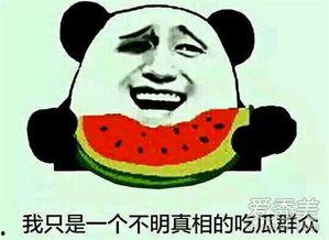吃娱乐的瓜是什么意思