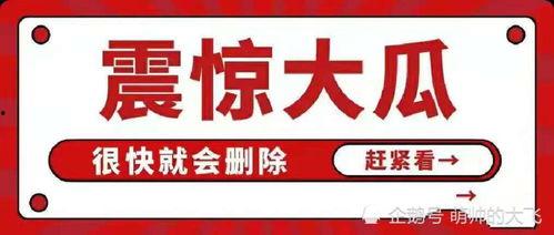 娱乐播报台吃瓜八卦,明星幕后故事大曝光!